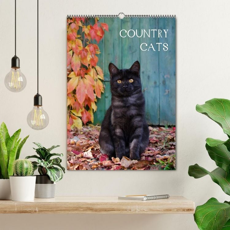 Produktbild: COUNTRY CATS (Wandkalender 2026 DIN A2 hoch), CALVENDO Monatskalender