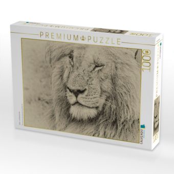 Produktbild: CALVENDO Puzzle Safari - auf Katzensuche | 1000 Teile Lege-Gr&ouml;&szlig;e 64x48cm Foto-Puzzle f&uuml;r gl&uuml;ckliche Stunden