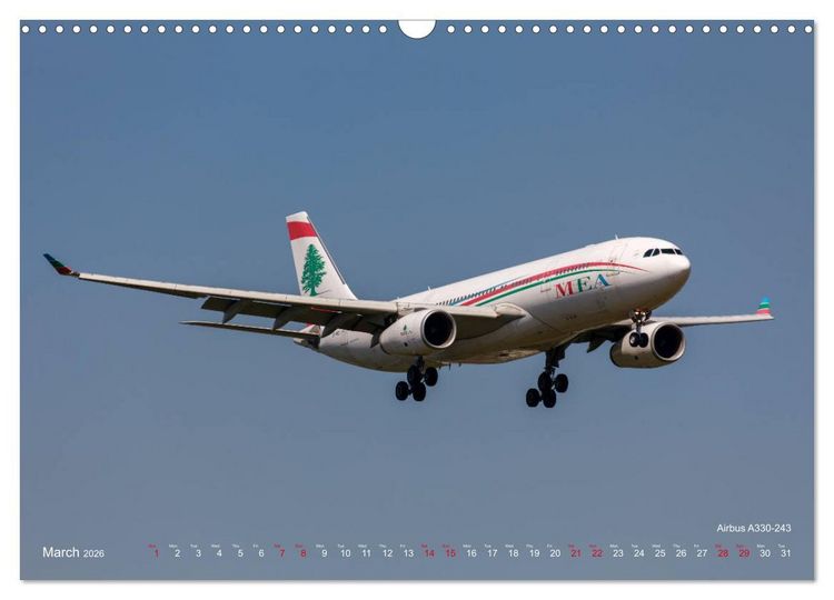 Produktbild: Airliners of the Middle East (Wall Calendar 2026 DIN A3 landscape), CALVENDO 12 Month Wall Calendar