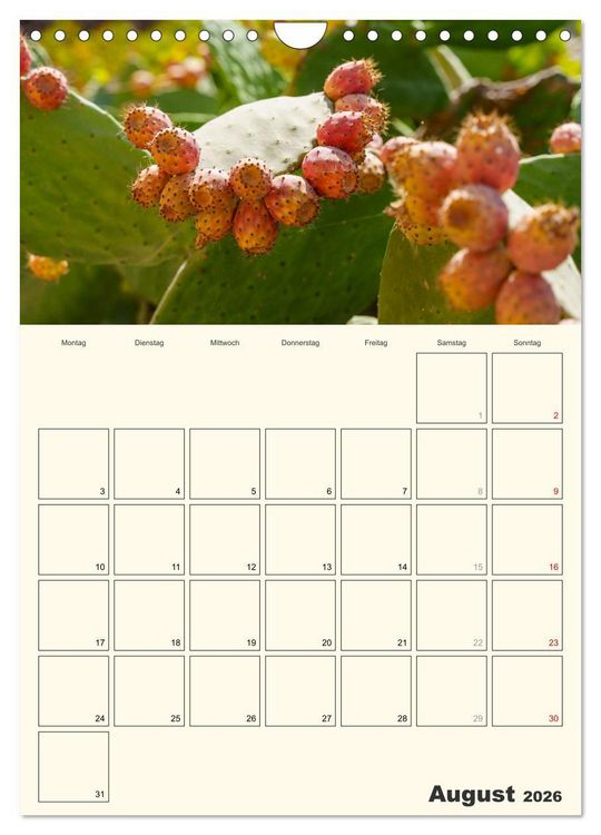 Produktbild: Obst Kalender - GESUND DURCH DAS JAHR (Wandkalender 2026 DIN A4 hoch), CALVENDO Monatskalender