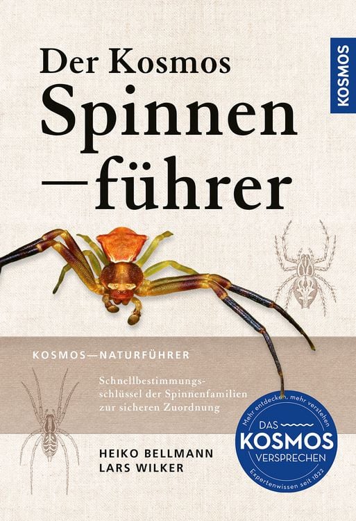 Produktbild: Der Kosmos Spinnenf&uuml;hrer