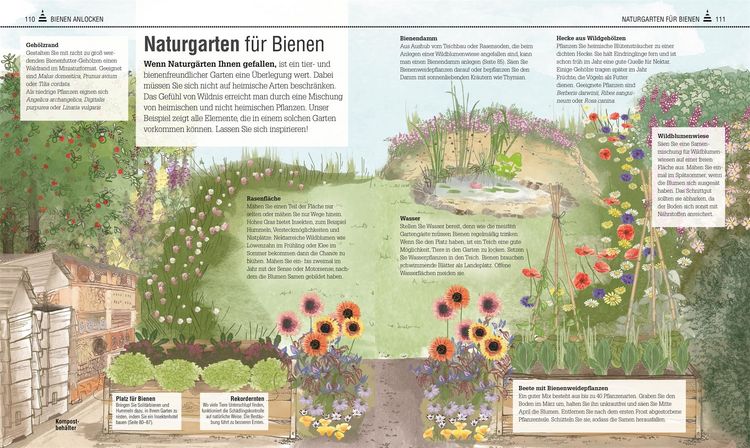 Produktbild: Das Bienen Buch