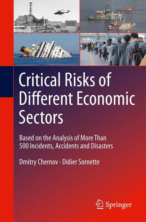 Produktbild: Critical Risks of Different Economic Sectors