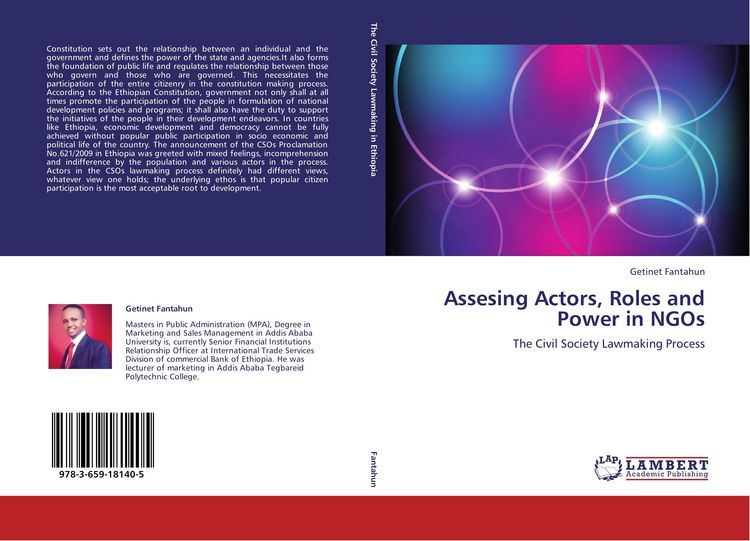 Produktbild: Assesing Actors, Roles and Power in NGOs