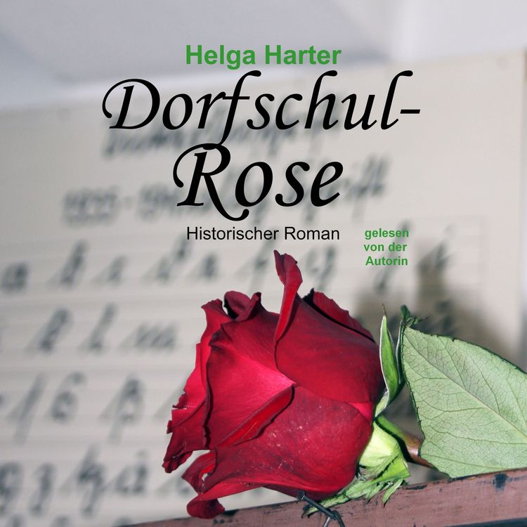 Produktbild: Dorfschul-Rose