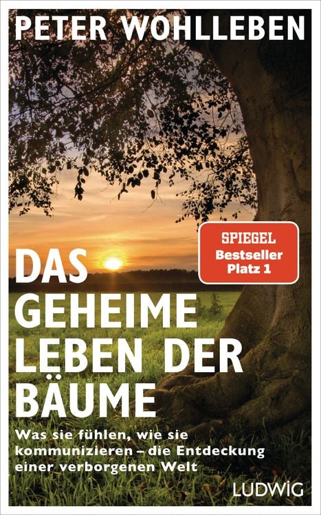 Produktbild: Das geheime Leben der Bäume