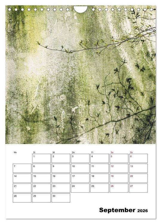 Produktbild: Mauerbl&uuml;mchen - Poesie im Allt&auml;glichen als Monatsplaner (Wandkalender 2026 DIN A4 hoch), CALVENDO Monatskalender