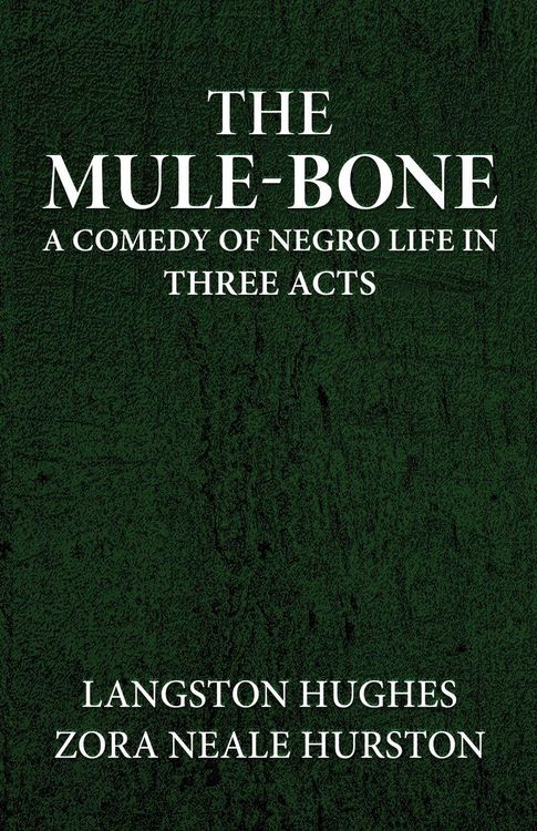 Produktbild: The mule-bone a comedy of Negro life in three acts