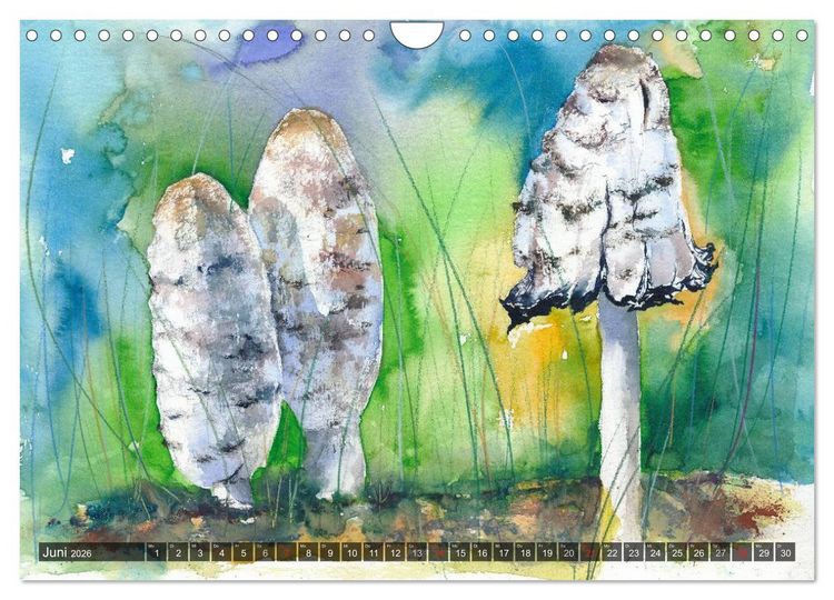 Produktbild: Pilze in Aquarell (Wandkalender 2026 DIN A4 quer), CALVENDO Monatskalender