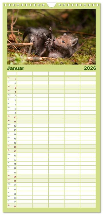 Produktbild: Familienplaner 2026 - Bei den Jungf&uuml;chsen mit 5 Spalten (Wandkalender, 21 x 45 cm) CALVENDO