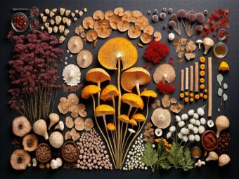 Produktbild: CALVENDO Puzzle Pilzsammlung arrangiert | 1000 Teile Lege-Gr&ouml;&szlig;e 64x48cm Foto-Puzzle f&uuml;r gl&uuml;ckliche Stunden