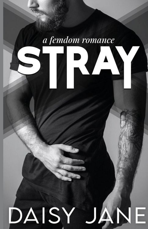 Produktbild: Stray