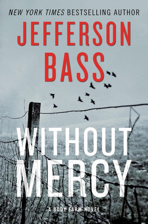 Produktbild: Without Mercy