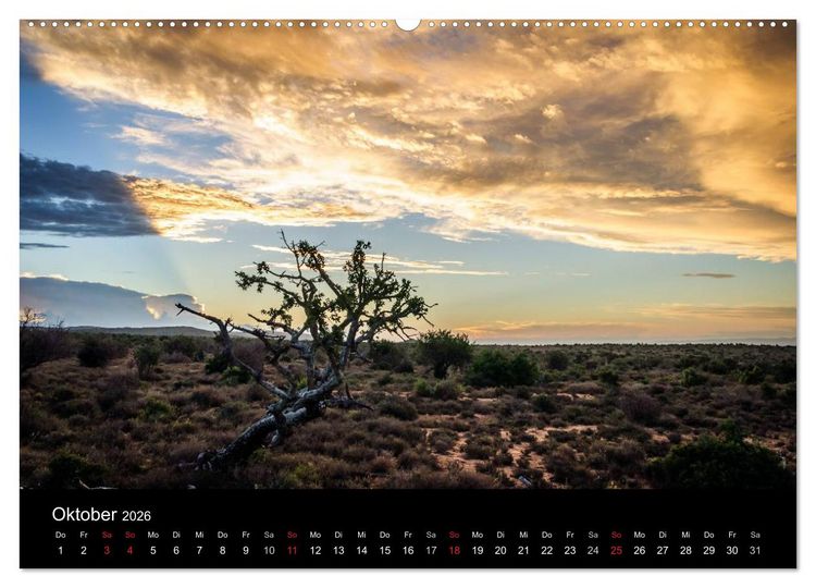 Produktbild: Unterwegs in S&uuml;dafrika 2026 (hochwertiger Premium Wandkalender 2026 DIN A2 quer), Kunstdruck in Hochglanz