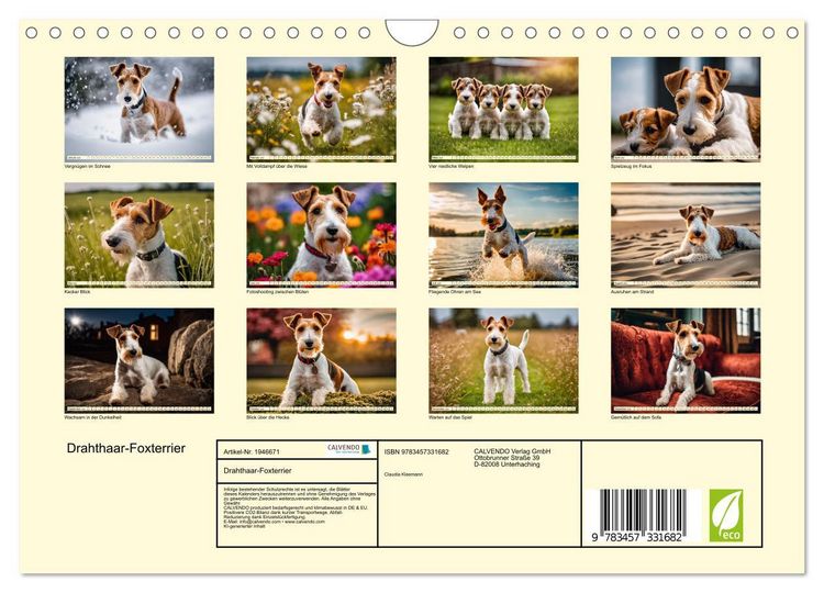 Produktbild: Drahthaar-Foxterrier (Wandkalender 2026 DIN A4 quer), CALVENDO Monatskalender
