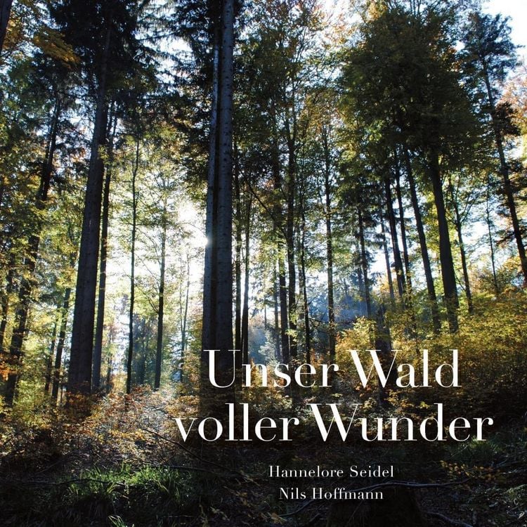 Produktbild: Unser Wald voller Wunder