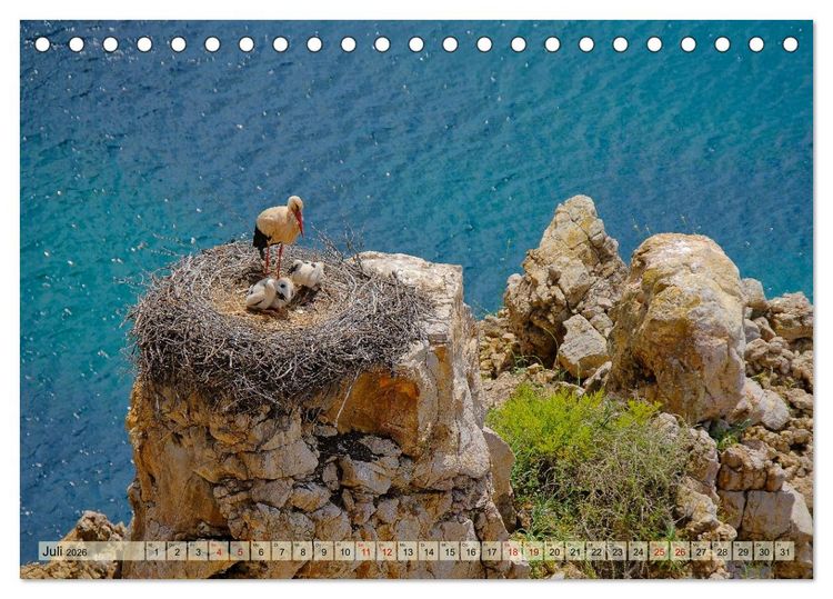 Produktbild: Fischerweg Portugal (Tischkalender 2026 DIN A5 quer), CALVENDO Monatskalender