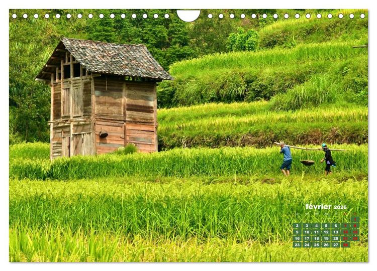 Produktbild: Riz de Chine (Calendrier mural 2026 DIN A4 vertical), CALVENDO calendrier mensuel