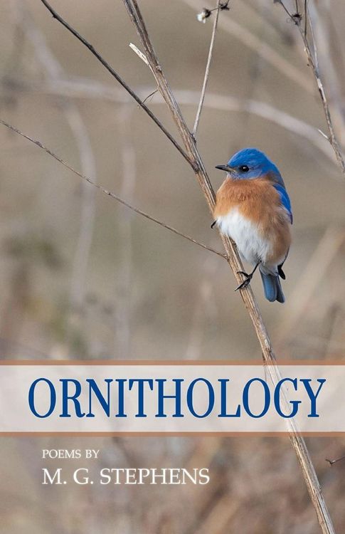 Produktbild: Ornithology