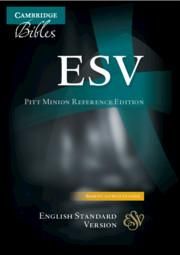 Produktbild: ESV Pitt Minion Reference Edition Brown Calf Split Leather Es444: X