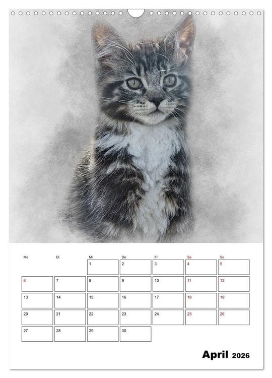 Produktbild: Maine Coon Katzen (Wandkalender 2026 DIN A3 hoch), CALVENDO Monatskalender