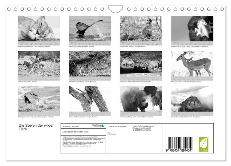 Produktbild: Die Seelen der wilden Tiere (Wandkalender 2026 DIN A4 quer), CALVENDO Monatskalender