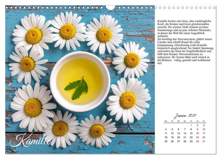 Produktbild: Heilsame Aroma&ouml;le (Wandkalender 2027 DIN A3 quer), CALVENDO Monatskalender