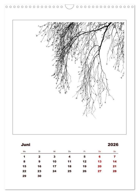 Produktbild: LignoGrafica - Muster und Strukturen der B&auml;ume (Wandkalender 2026 DIN A3 hoch), CALVENDO Monatskalender