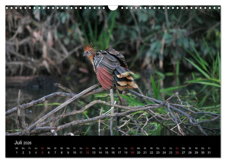 Produktbild: Bolivien (Wandkalender 2026 DIN A3 quer), CALVENDO Monatskalender