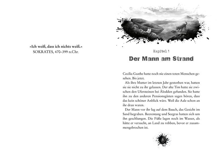 Produktbild: CLUE 1. Schiffbruch vor der Felseninsel