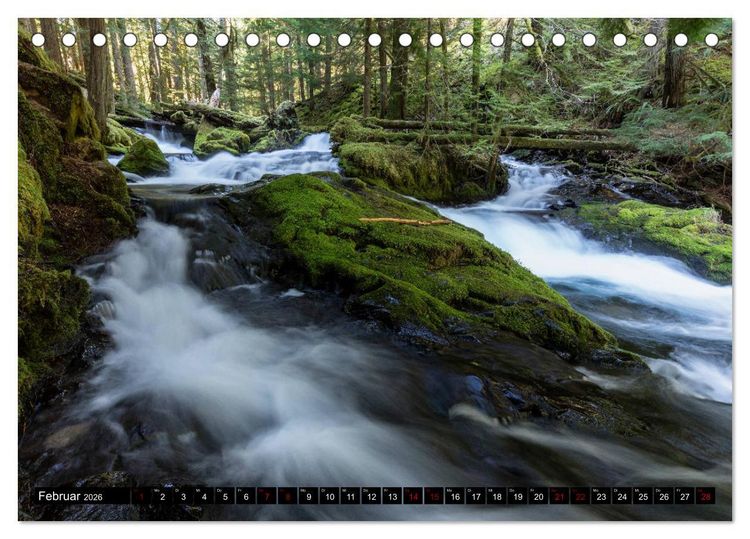 Produktbild: Waldwasser (Tischkalender 2026 DIN A5 quer), CALVENDO Monatskalender