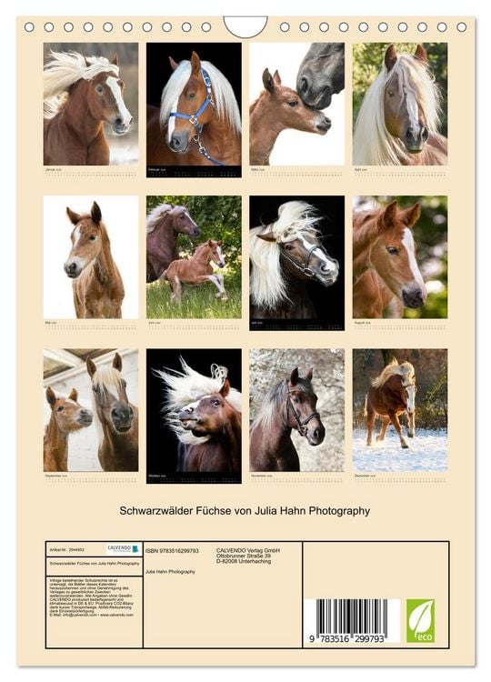 Produktbild: Schwarzw&auml;lder F&uuml;chse von Julia Hahn Photography (Wandkalender 2026 DIN A4 hoch), CALVENDO Monatskalender