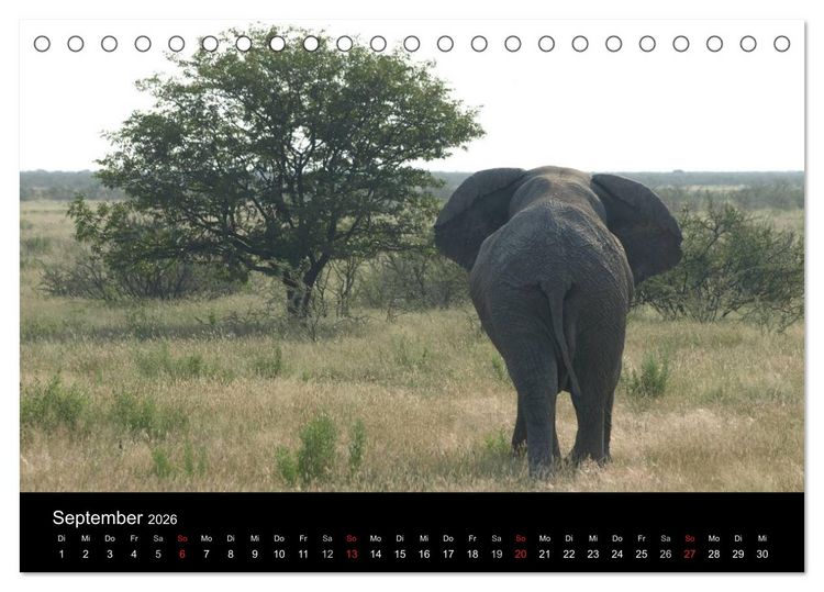 Produktbild: W&uuml;stenzauber Namibia (Tischkalender 2026 DIN A5 quer), CALVENDO Monatskalender