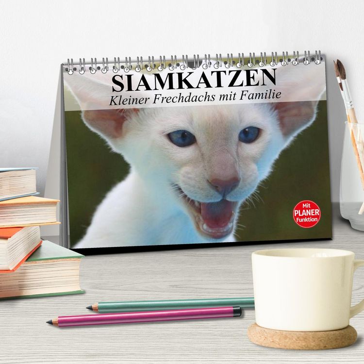 Produktbild: Siamkatzen - Kleiner Frechdachs mit Familie (Tischkalender 2026 DIN A5 quer), CALVENDO Monatskalender
