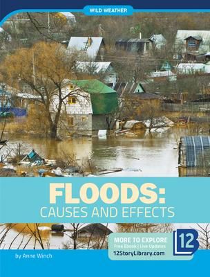 Produktbild: Floods: Causes and Effects