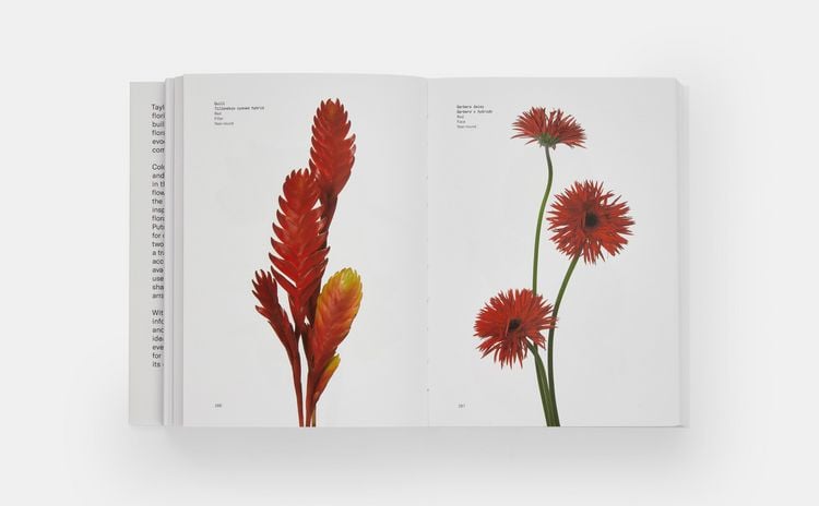 Produktbild: Flower Colour Guide