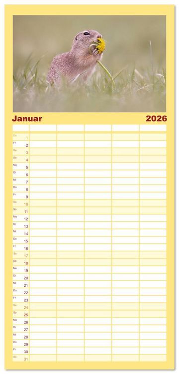 Produktbild: Familienplaner 2026 - Zauberhafte Ziesel mit 5 Spalten (Wandkalender, 21 x 45 cm) CALVENDO