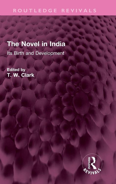 Produktbild: The Novel in India