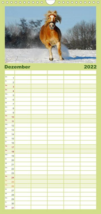 Produktbild: Welt der Pferde - Familienplaner hoch (Wandkalender 2022 , 21 cm x 45 cm, hoch)