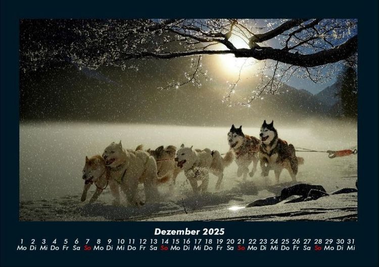 Produktbild: Hundezauber 2025 Fotokalender DIN A4