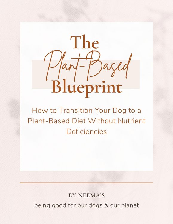 Produktbild: The Plant-Based Blueprint: How to Transition Your Dog to a Plant-Based Diet Without Nutrient Deficiencies
