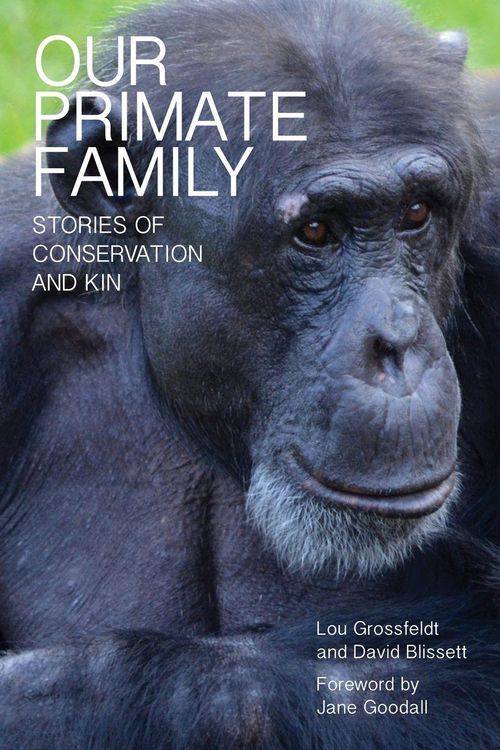 Produktbild: Our Primate Family