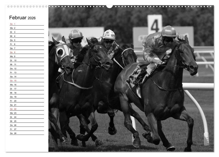 Produktbild: Leidenschaft Pferdesport - Impressionen (hochwertiger Premium Wandkalender 2026 DIN A2 quer), Kunstdruck in Hochglanz