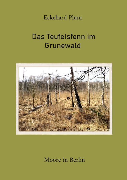 Produktbild: Das Teufelsfenn im Grunewald