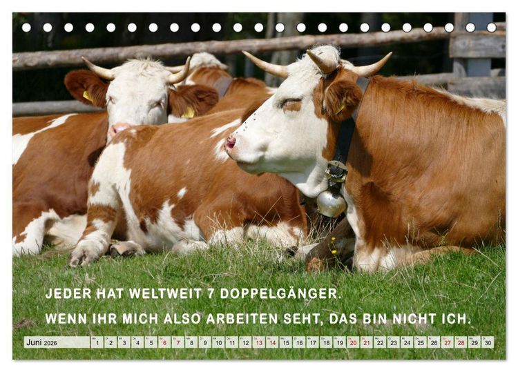 Produktbild: M&uuml;de, faul und arbeitsscheu (Tischkalender 2026 DIN A5 quer), CALVENDO Monatskalender
