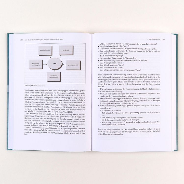 Produktbild: Handbuch Schulentwicklung: Beratung und Begleitung