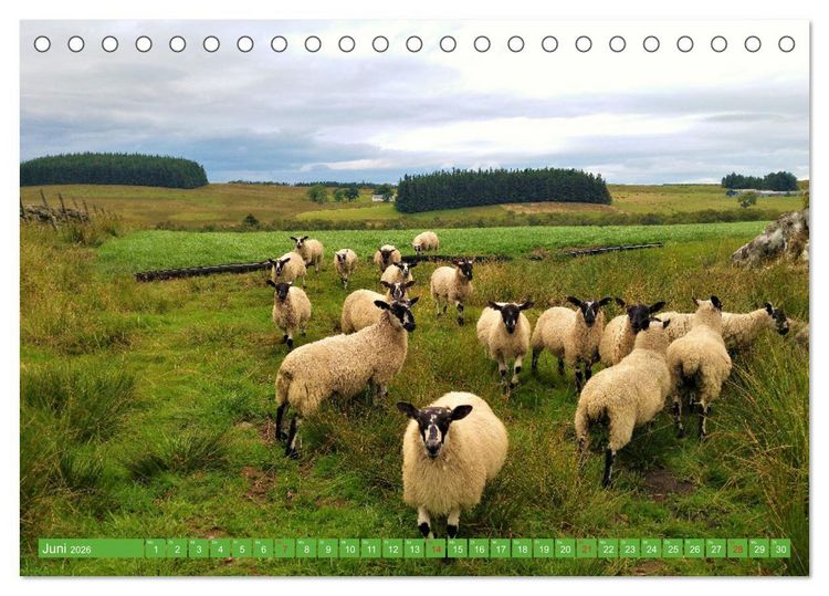 Produktbild: Schottland - Impressionen von magischen Orten (Tischkalender 2026 DIN A5 quer), CALVENDO Monatskalender