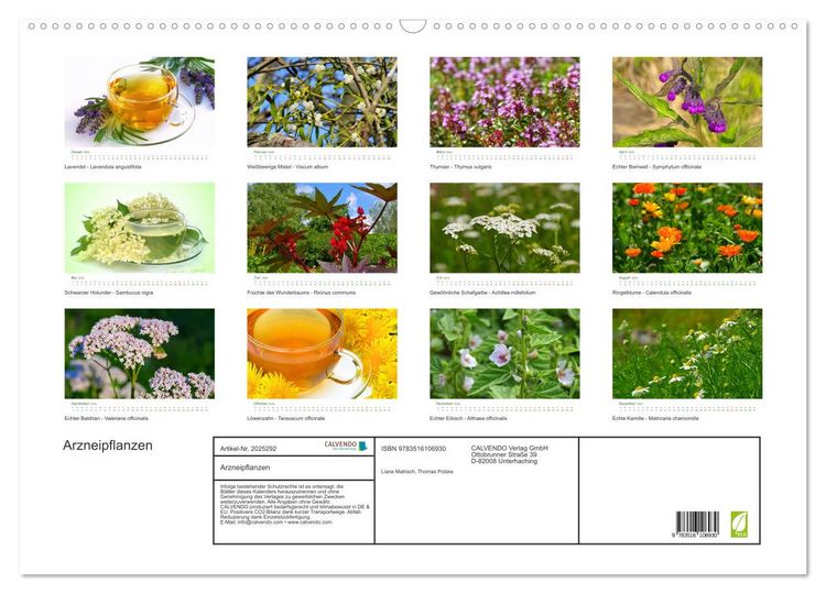 Produktbild: Arzneipflanzen (Wandkalender 2026 DIN A2 quer), CALVENDO Monatskalender