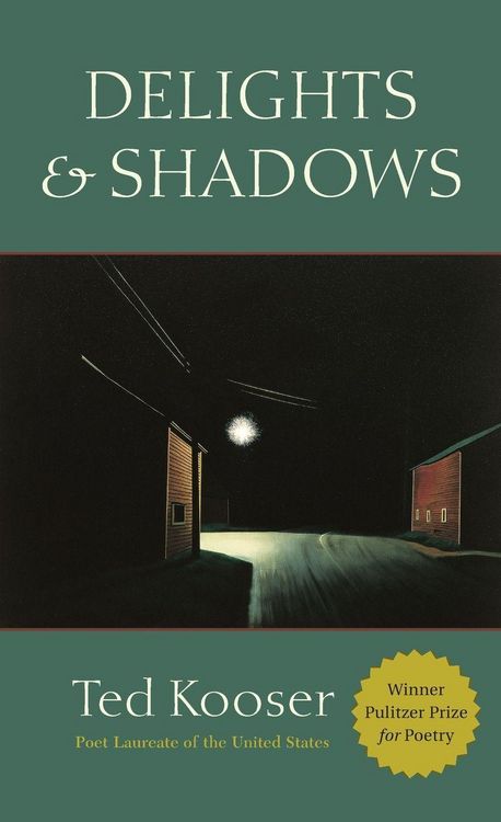 Produktbild: Delights & Shadows