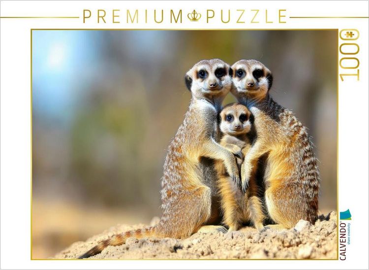 Produktbild: CALVENDO Puzzle Ein wundersch&ouml;nes Familienfoto | 1000 Teile Lege-Gr&ouml;&szlig;e 64x48cm Foto-Puzzle f&uuml;r gl&uuml;ckliche Stunden